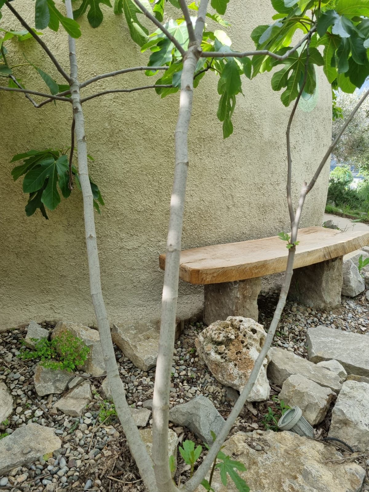 WhatsApp Image 2022-10-17 at 10.33.54