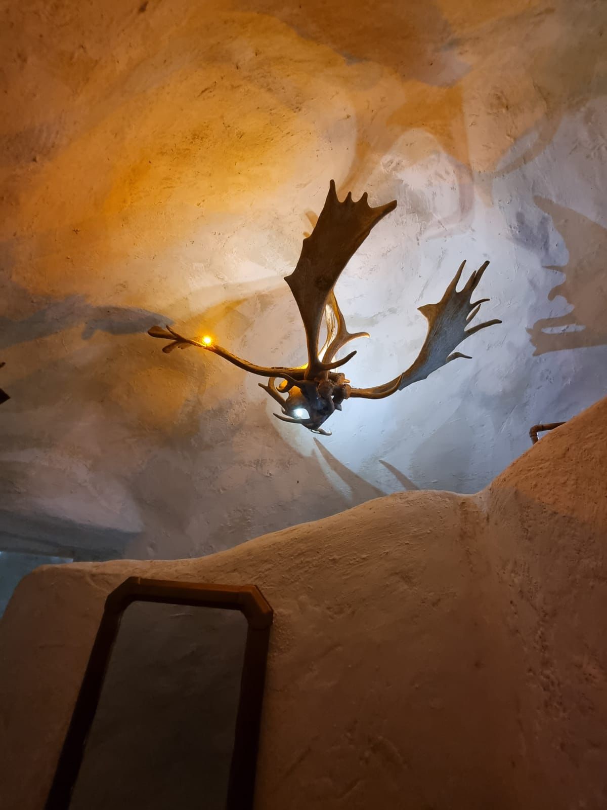 WhatsApp Image 2022-10-17 at 10.34.04