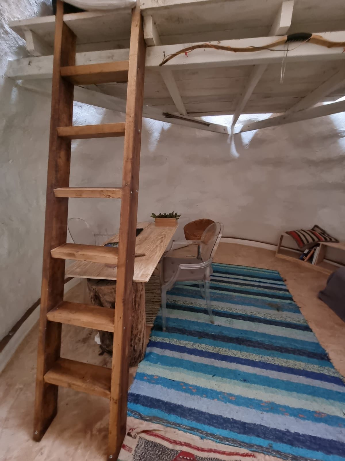 WhatsApp Image 2022-10-17 at 10.34.07 (1)