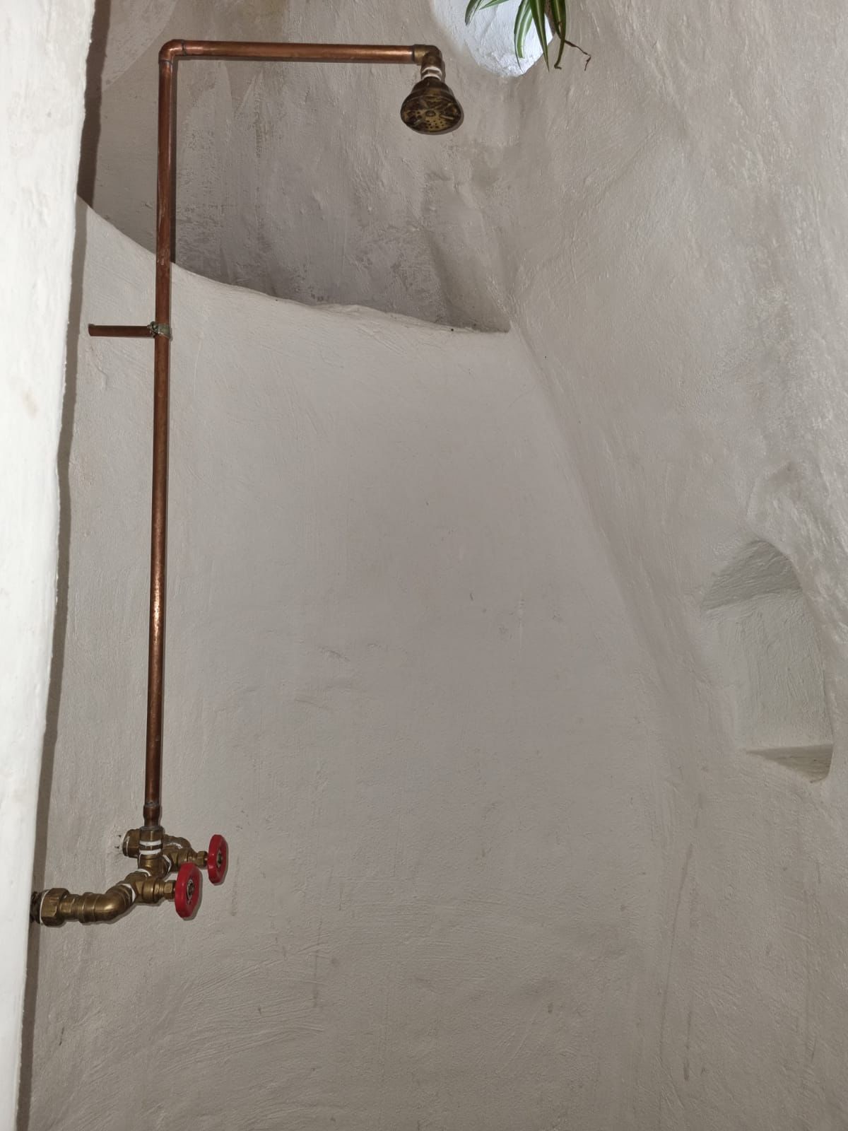 WhatsApp Image 2022-10-17 at 10.34.07 (2)