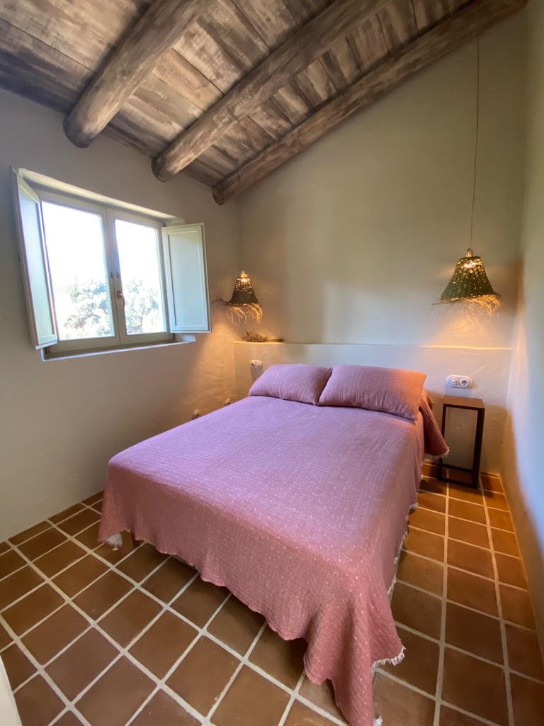 WhatsApp Image 2022-11-28 at 18.23.54